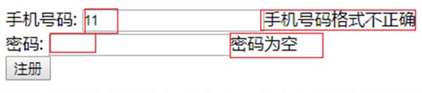 检测注册表单效果 检测注册表单效果