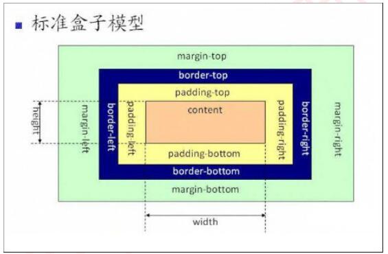 标准盒模型