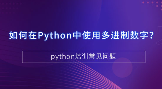 1700102382802_如何在Python中使用多进制数字.jpg