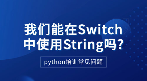 1715136273701_我们能在switch中使用String吗.jpg