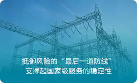 国家电网：守护“万家灯火